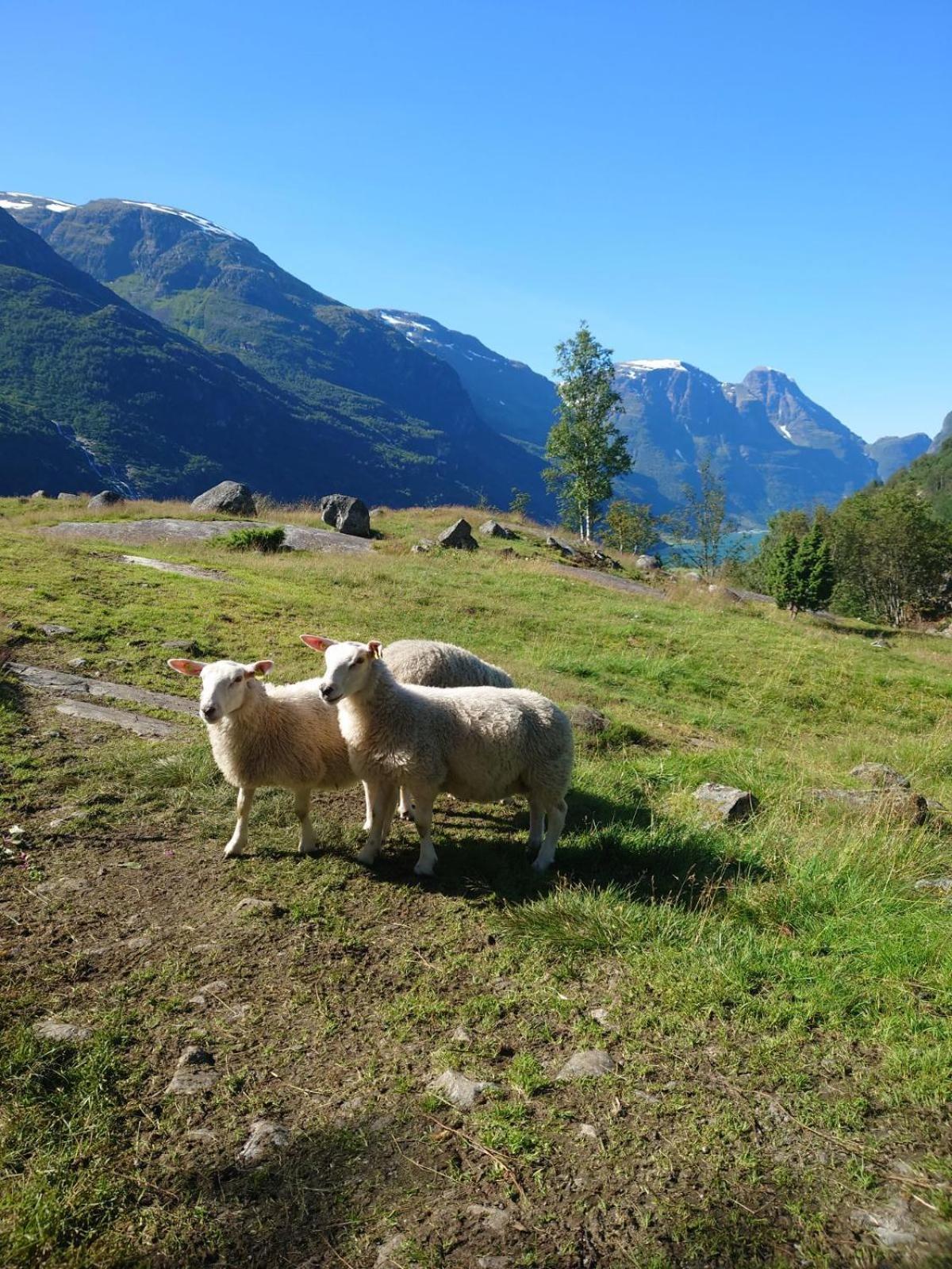 Trollbu Aabrekk Gard Briksdalsbre Exterior foto